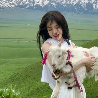 罪证子弹3