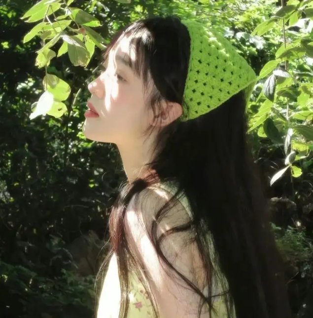 狮子护卫队第一季